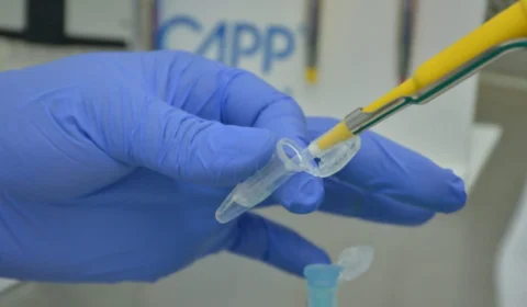 Primeira morte por variante ômicron no Brasil é registrada em Goiás