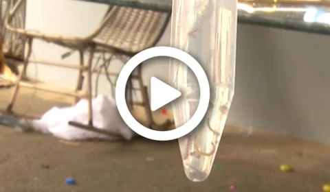 VÍDEO: nove bairros da zona Oeste de Manaus apresentam alto índice de casos de dengue