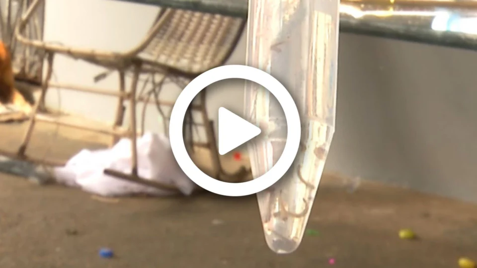 VÍDEO: nove bairros da zona Oeste de Manaus apresentam alto índice de casos de dengue