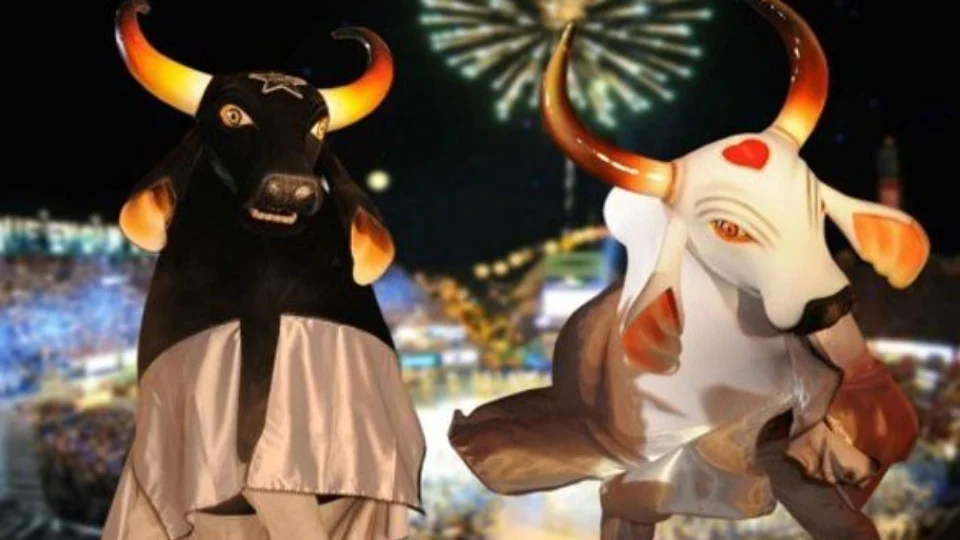 Festival de Parintins 2022, no AM, será realizado nos dias 24, 25 e 26 de junho