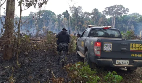 Incêndio em área florestal é controlado pelo Corpo de Bombeiros, em Humaitá-AM
