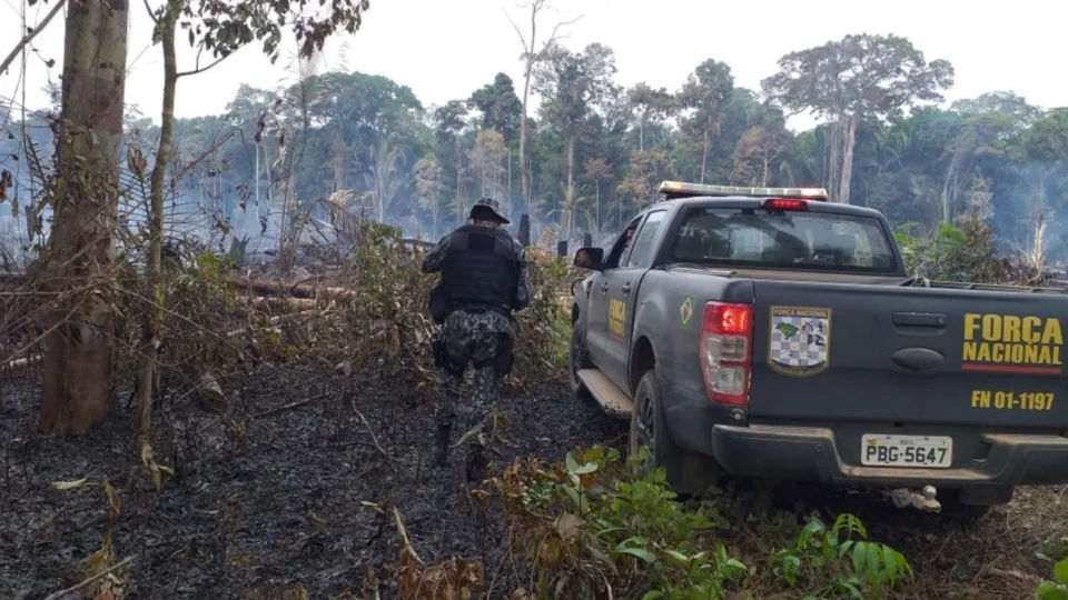 Incêndio em área florestal é controlado pelo Corpo de Bombeiros, em Humaitá-AM