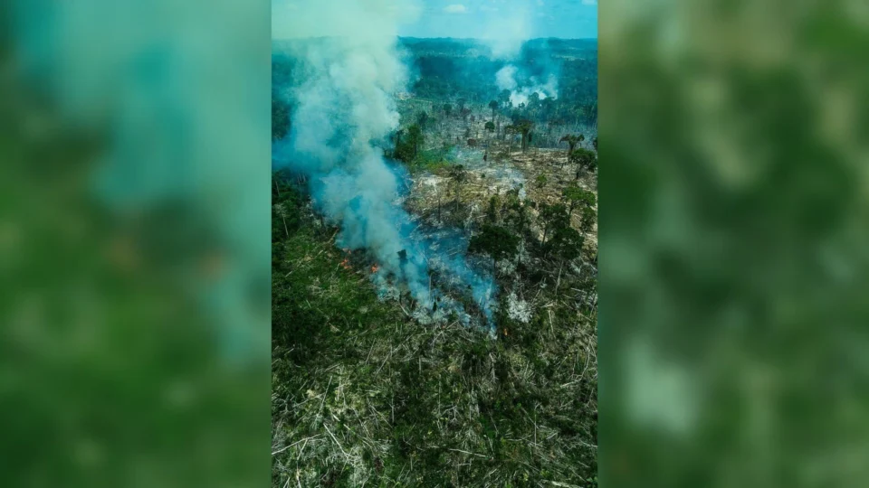Em 3 anos, terra indígena tem 84% de desmatamento no sudoeste do Pará