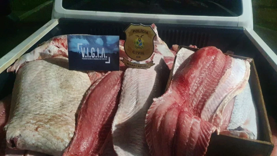 Homem é preso com mais de 800 quilos de pescado ilegal, no AM