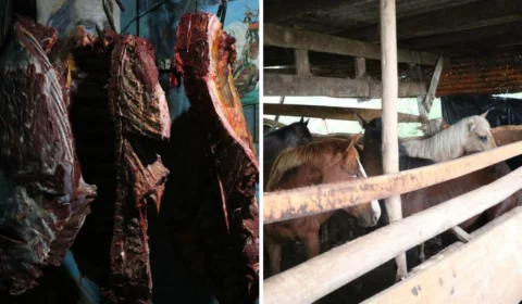 Operação ‘Hipo’ prende suspeitos de abater cavalos e vender carne a restaurantes no Rio Grande do Sul