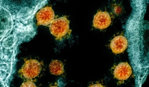 Variante ômicron chega a 57 países; esta já é a quinta variante da SARS-CoV-2