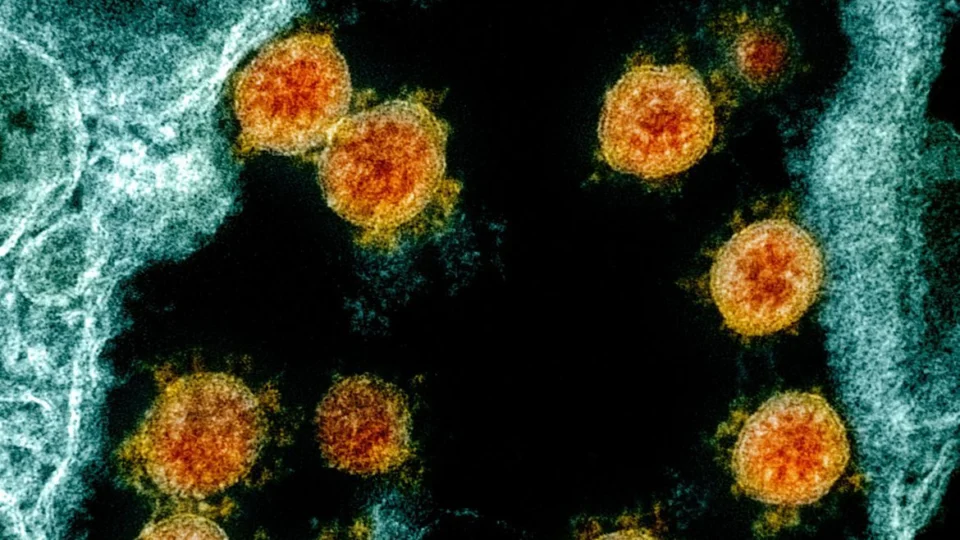 Variante ômicron chega a 57 países; esta já é a quinta variante da SARS-CoV-2