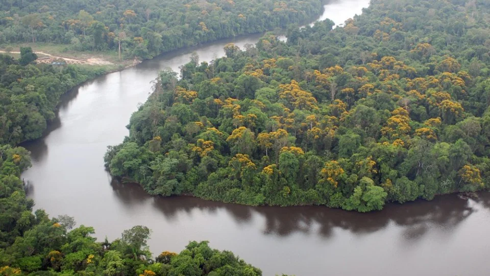 Brasil é um dos oitos países da OTCA a receber Observatório Regional Amazônico