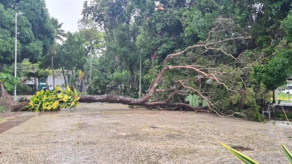 Ventos de até 80 Km/h derrubam árvores e danificam ornamentações na Ponta Negra, em Manaus