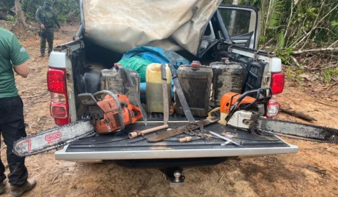 No AM, Operação Tamoiotatá prende quatro homens e apreende madeira ilegal