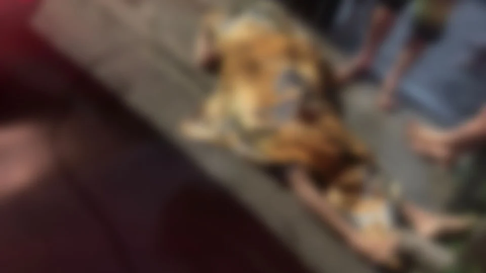 Homem é morto a tiros no bairro Compensa, Zona Oeste de Manaus