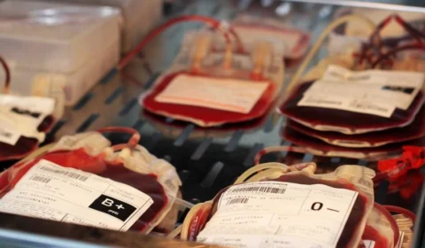 Senado aprova projeto de lei que proíbe discriminação de doadores de sangue homossexuais