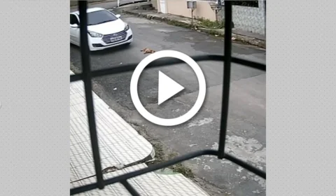 VÍDEO: câmera flagra carro atropelando cachorro