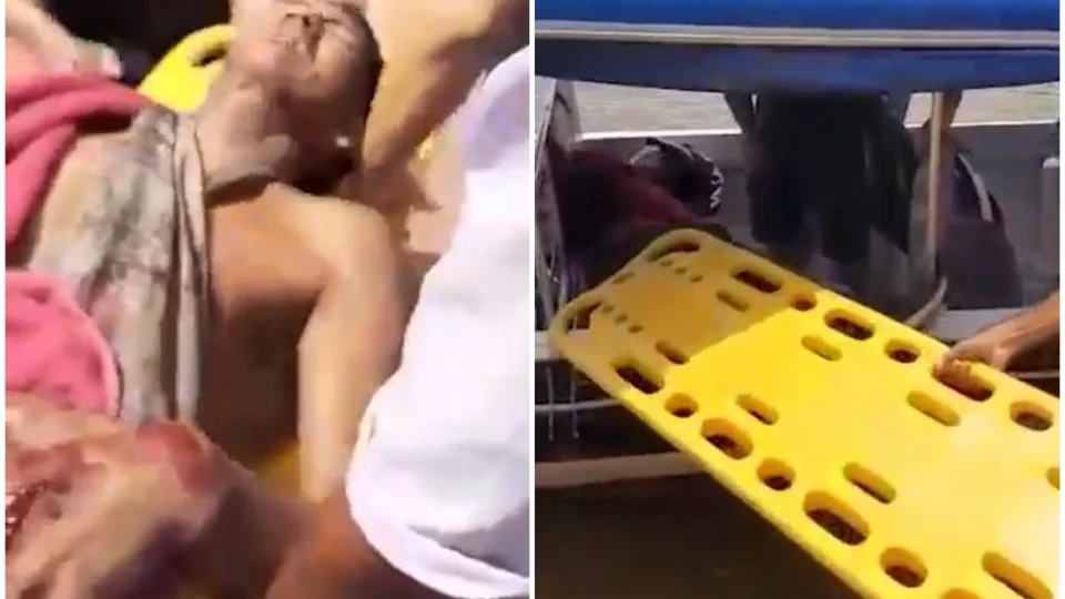 VÍDEO: Pescador é atacado por jacaré-açu enquanto tirava malhadeira do rio, no interior do Amazonas