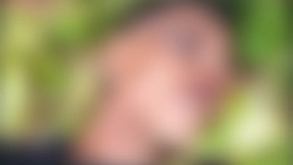 Corpo de homem é encontrado em ramal de Parintins-AM