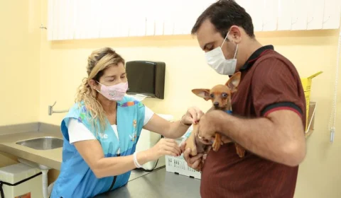 Cães e gatos das zonas Oeste e Sul de Manaus são vacinados contra raiva; veja cronograma