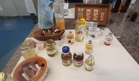 VÍDEO: com orçamento público de R$ 2,5 milhões, Centro de Biotecnologia da Amazônia ainda aguarda iniciativa privada