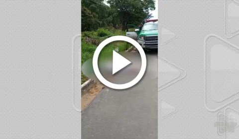 VÍDEO: suspeito de praticar assalto é morto a pauladas na BR-174, em Manaus