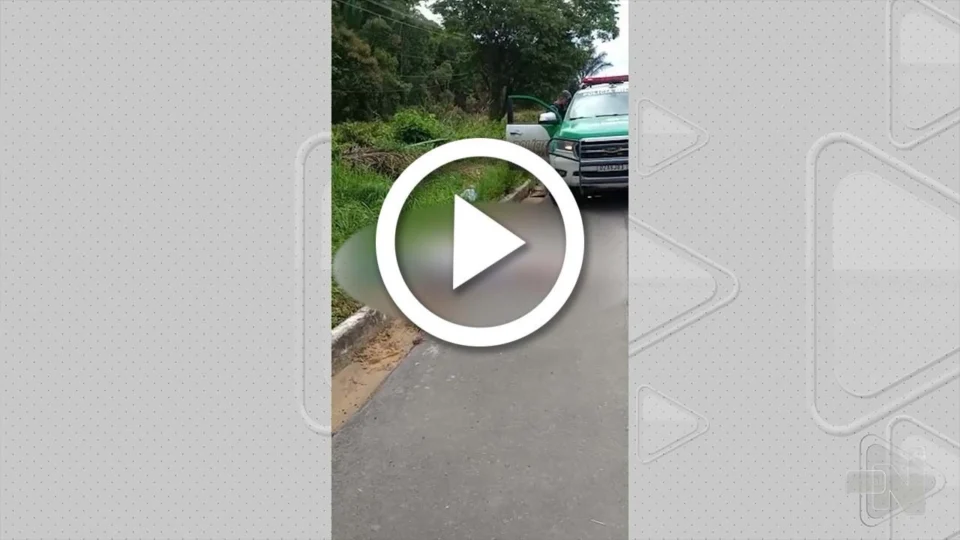 VÍDEO: suspeito de praticar assalto é morto a pauladas na BR-174, em Manaus