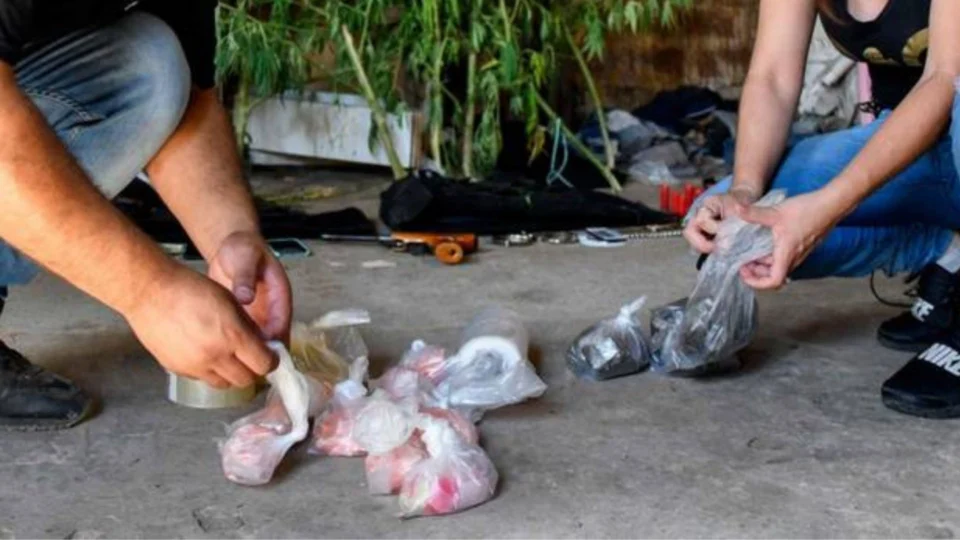 Cocaína ‘envenenada’ que matou mais de 20 pessoas na Argentina estava misturada com anestésico para elefantes