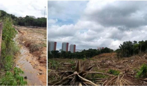 MPAM investiga desmatamento em área de preservação na Ponta Negra