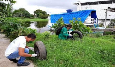 Dengue avança no AM e registros de mais de 13,5 mil casos em 2021 já ultrapassam todo o ano de 2020