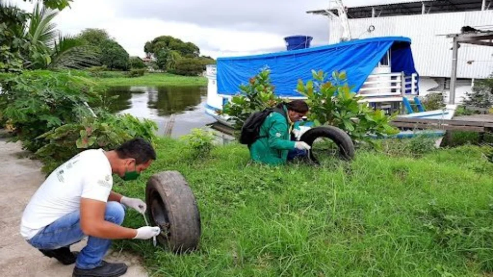 Dengue avança no AM e registros de mais de 13,5 mil casos em 2021 já ultrapassam todo o ano de 2020
