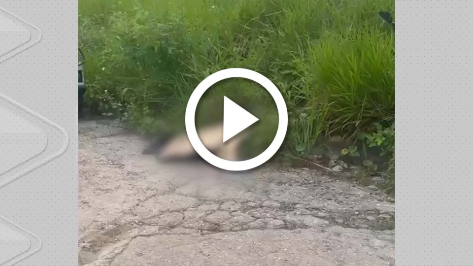 VÍDEO: corpo é encontrado em rua do Distrito Industrial II em Manaus