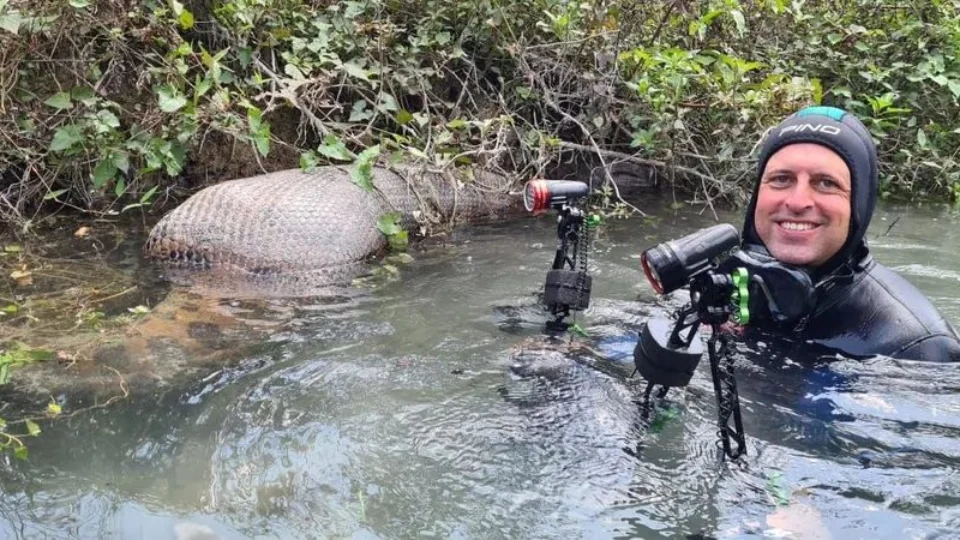 Fotógrafo registra sucuri ‘devorando’ animal em rio, no Mato Grosso do Sul