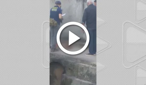 VÍDEO: cabeça de homem é encontrada em córrego na Zona Oeste de Manaus