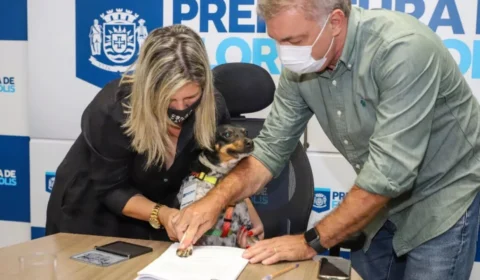VÍDEO: Cadela ‘assina’ projeto de lei ao lado de prefeito em Florianópolis