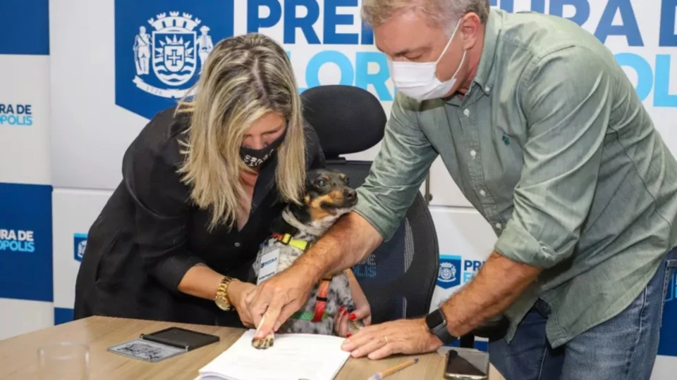VÍDEO: Cadela ‘assina’ projeto de lei ao lado de prefeito em Florianópolis