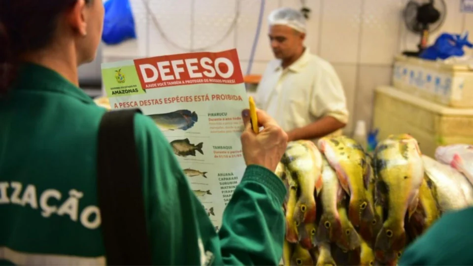 Começa na próxima segunda-feira o período de defeso no Amazonas