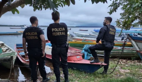Operação ‘Volta Grande do Xingu’ investiga esquema de tráfico internacional de peixes ornamentais no Pará