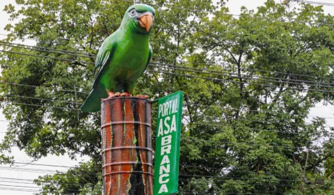 Zona de Controle Especial é criada para proteger periquitos-de-asa-branca em Manaus