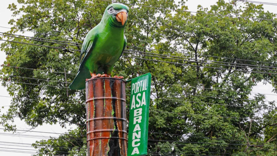 Zona de Controle Especial é criada para proteger periquitos-de-asa-branca em Manaus