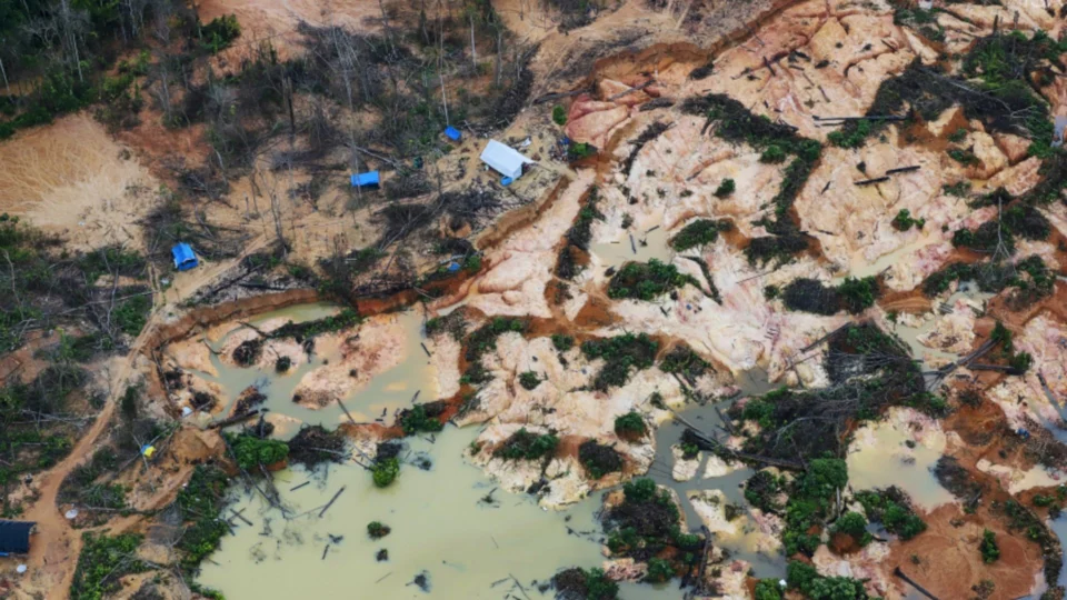 Em Roraima, dois indígenas isolados são mortos a tiros por garimpeiros em Terra Yanomami