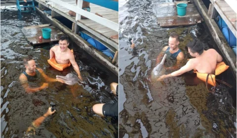 Bototerapia retoma atividades com crianças do Abrigo Moacyr Alves