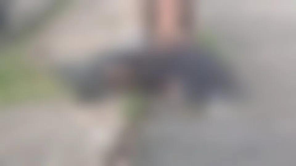 Morador de rua é atropelado na avenida Max Teixeira, Zona Norte de Manaus