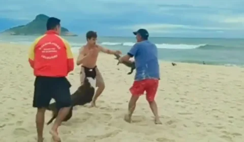 VÍDEO: Em briga na praia, homem põe jacaré para morder banhista no RJ