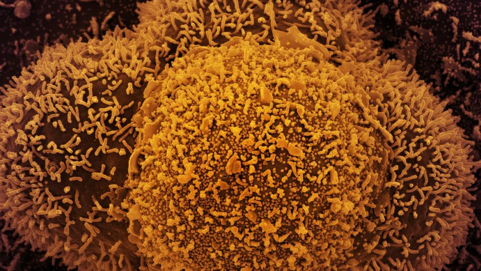 Ministério da Saúde registra 128 casos da variante ômicron no Brasil