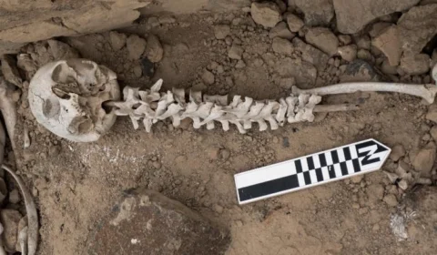 Pesquisadores encontram ‘Vértebras em Estacas’ em sepulturas indígenas no Peru