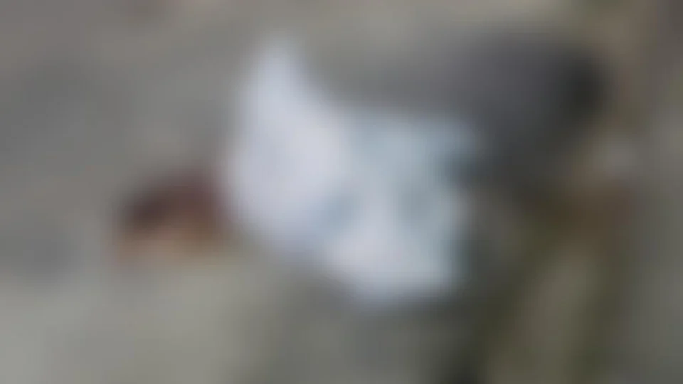 Mulher é executada a tiros quando ia comprar comida no bairro Terra Nova, Zona Norte de Manaus