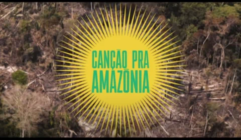 Artistas brasileiros lançam canção em prol da Amazônia