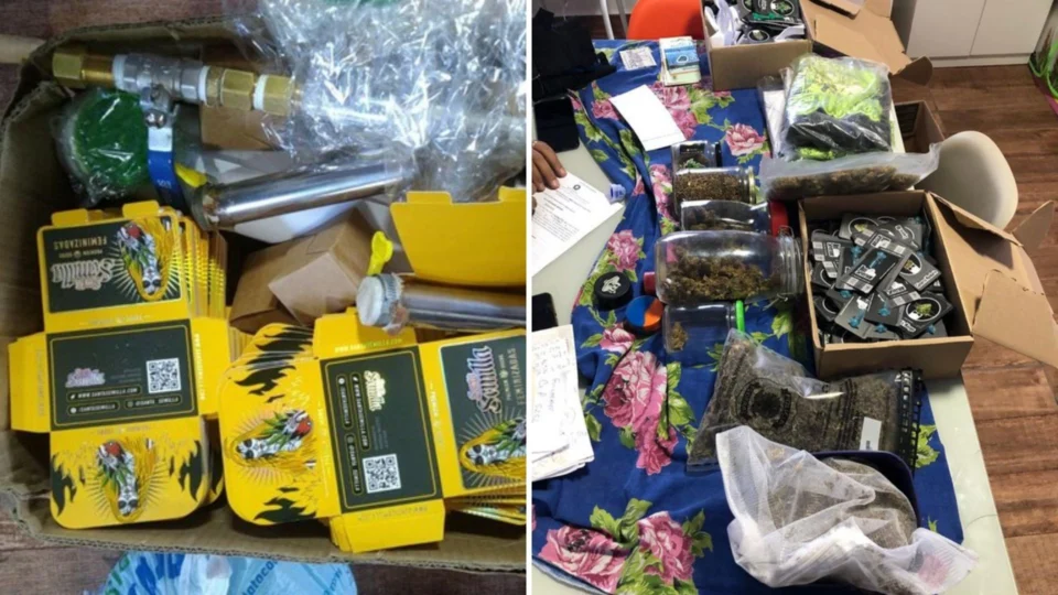 Operação Semilha apreende sementes de Maconha no Rio Grande do Sul