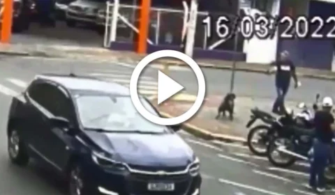 VÍDEO: homem atira em cadela no meio da rua no interior de SP