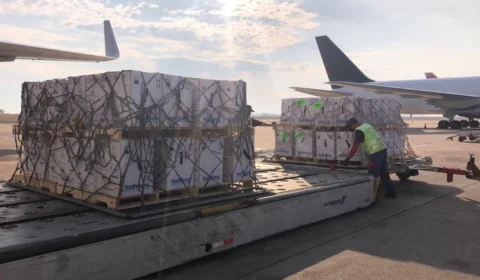 Mais de 10,5 milhões de vacinas serão distribuídas até terça-feira, diz Ministério da Saúde