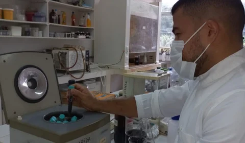 Pesquisa aponta que casca do ingá-cipó pode gerar álcool gel, no AM