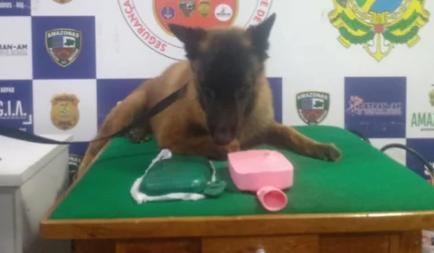 No Amazonas, cão policial encontra 2 kg de drogas dentro de embarcação no rio Solimões
