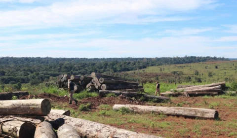 Brasil quer zerar o desmatamento antes de 2030, diz ministro do Meio Ambiente